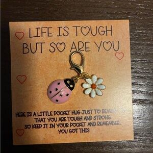 Lady bug keychains